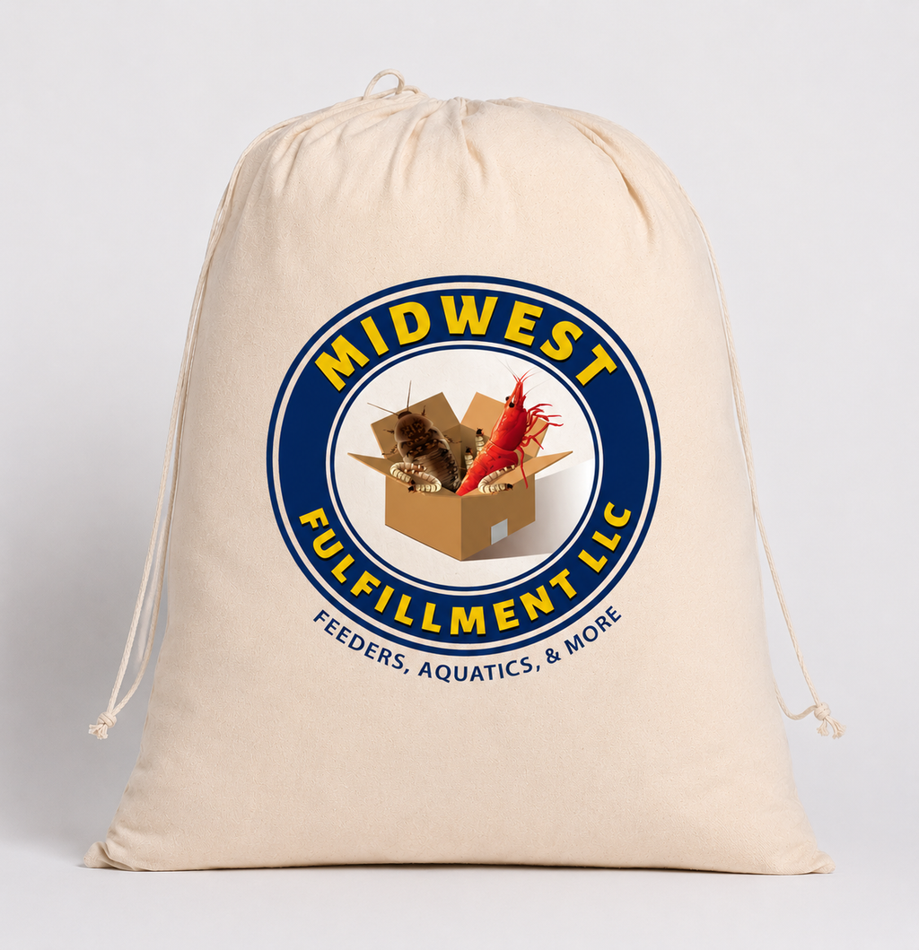 100 Large Superworms | Healthy USA Bred Live Feeders